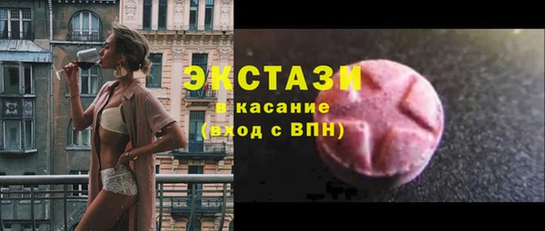 гашик Алексин