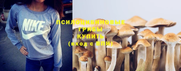 гашик Алексин