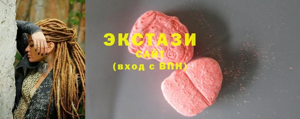 гашик Алексин
