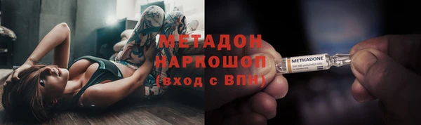 гашик Алексин
