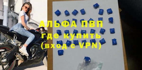 сатива Алзамай