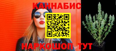 шишки Чебаркуль