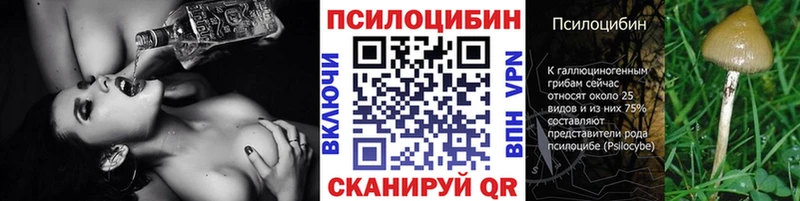 Псилоцибиновые грибы прущие грибы  Аргун 