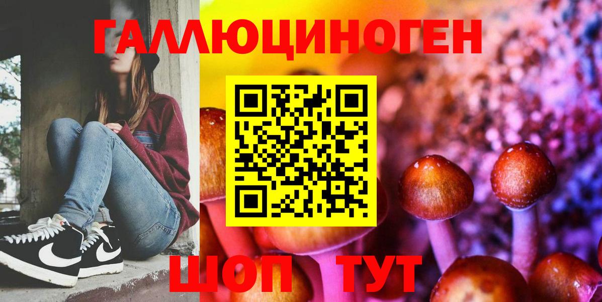 дарнет шоп  Псилоцибиновые грибы Psilocybe  Вход с VPN  Аргун 
