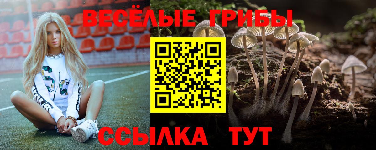 COCAIN  Вход с VPN  Аргун  МЕФ   Где купить наркотики?  ГАШ  Конопля 