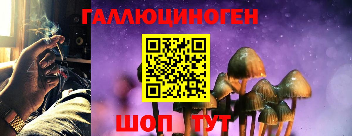 Галлюциногенные грибы мухоморы Аргун